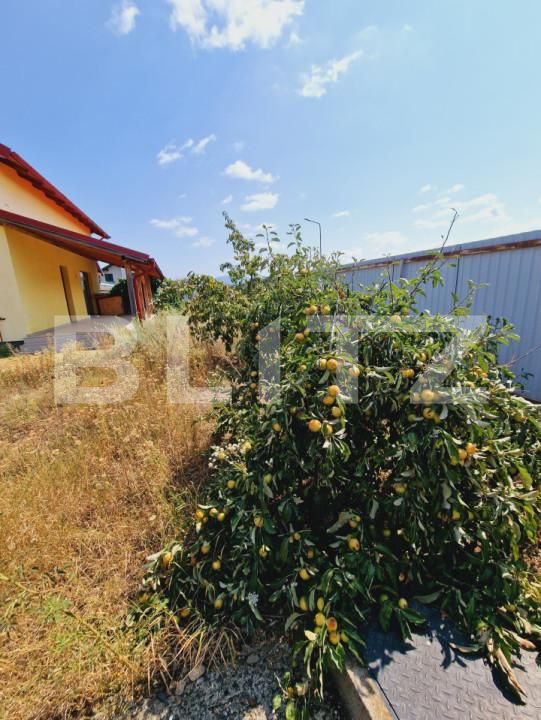 Casa de vânzare 5 camere Carpinis - 206014CV | BLITZ Brașov | Poza2