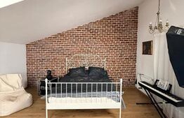 Apartament 1 camera, 50 mp, terasa 15 mp, zona Porii