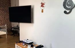 Apartament 1 camera, 50 mp, terasa 15 mp, zona Porii
