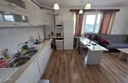 Apartament 2 camere, 50 mp, parcare subterana, Manastur/USAMV