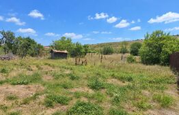 Casa de vanzare, 119 mp, teren 5.300 mp, zona Mihaiesti