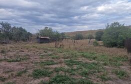 Casa de vanzare, 119 mp, teren 5.300 mp, zona Mihaiesti