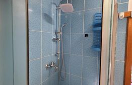 Apartament 2 camere, 70 mp, la mansarda, in casa/vila, zona Piata 14 Iulie