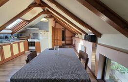 Apartament 2 camere, 70 mp, la mansarda, in casa/vila, zona Piata 14 Iulie