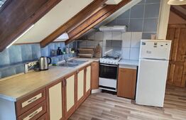 Apartament 2 camere, 70 mp, la mansarda, in casa/vila, zona Piata 14 Iulie