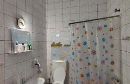 Proprietate 2 case individuale, 160 mp, teren 420 mp, zona Dambu Rotund