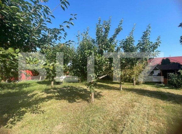 Casa de vânzare 3 camere Cornesti (Mihai Viteazu) - 206163CV | BLITZ Cluj-Napoca | Poza13
