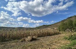 Teren de vanzare, 9660 mp, zona Bont