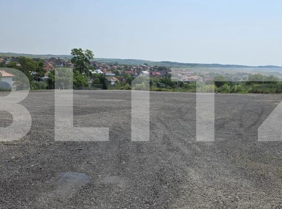 Spațiu industrial de închiriat Copaceni - 206186SII | BLITZ Cluj-Napoca | Poza2