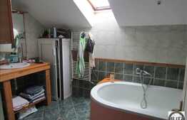 Inchiriere casa, 260 mp utili, zona linistita