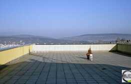 Terasa 650 mp, parcare, zona linistita!