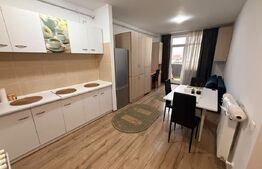Apartmanent 2 camere, 45 mp, zona Iris