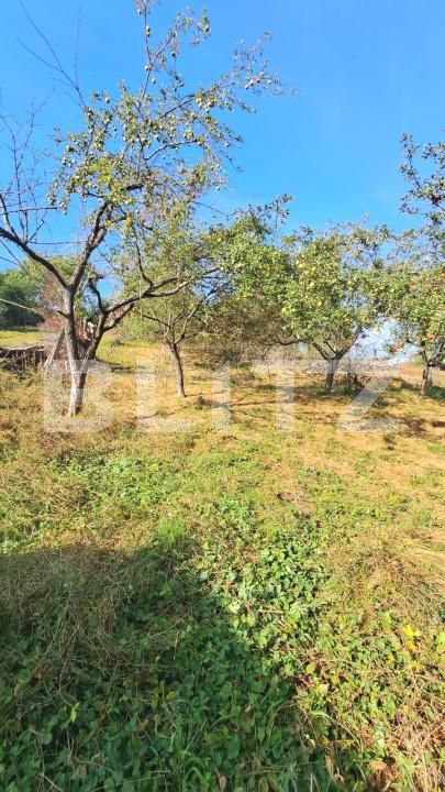 Casa de vânzare 2 camere Sacele - 206221CV | BLITZ Brașov | Poza9