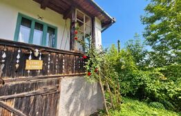 Gospodarie traditionala transilvaneana cu teren de 5.032 mp