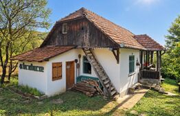 Gospodarie traditionala transilvaneana cu teren de 5.032 mp