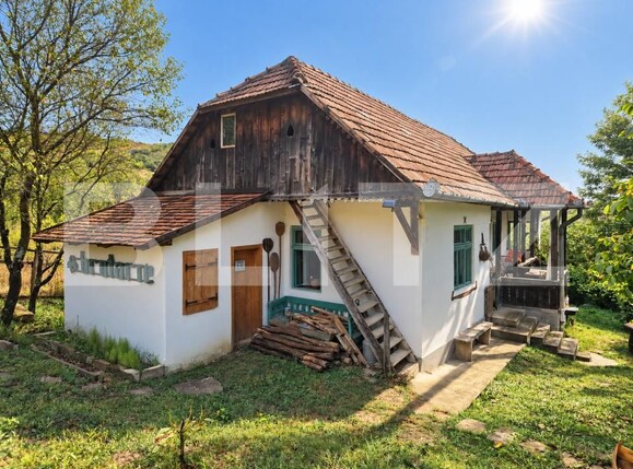 Casa de vânzare 3 camere Geaca - 206256CV | BLITZ Cluj-Napoca | Poza18