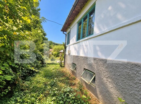 Casa de vânzare 3 camere Geaca - 206256CV | BLITZ Cluj-Napoca | Poza21