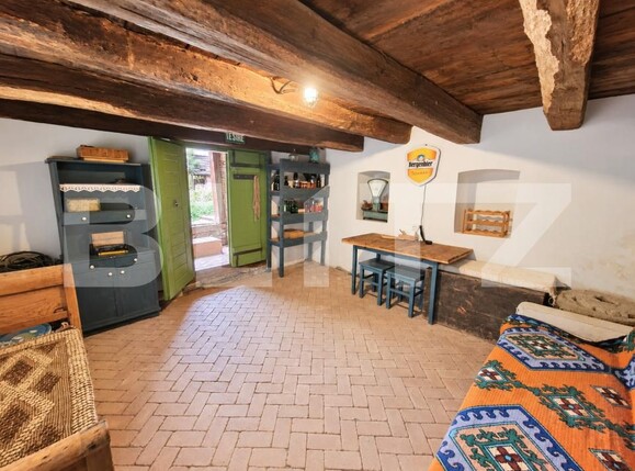 Casa de vânzare 3 camere Geaca - 206256CV | BLITZ Cluj-Napoca | Poza16