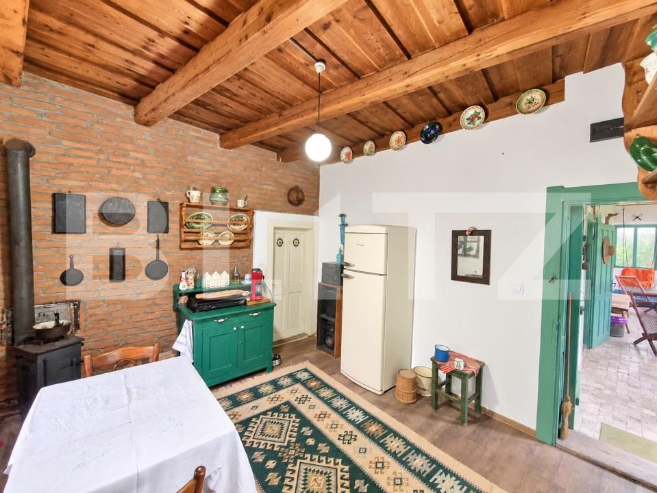 Casa de vânzare 3 camere Geaca - 206256CV | BLITZ Cluj-Napoca | Poza12