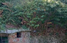 Casa de vanzare, 493 mp, zona Tarlungeni 