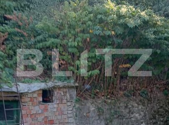 Casa de vânzare 3 camere Tarlungeni - 206265CV | BLITZ Brașov | Poza3