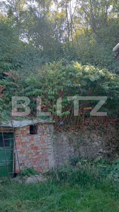 Casa de vânzare 3 camere Tarlungeni - 206265CV | BLITZ Brașov | Poza3