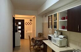 Apartament 2 camere, zona Vivo