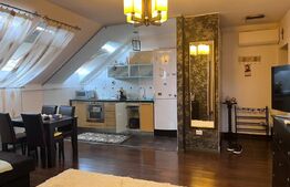 Apartament 2 camere, 50 mp, zona Porii