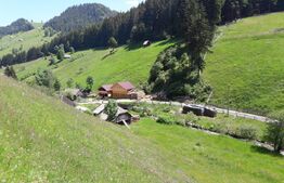 Casa de vanzare,  teren 4.890 mp, zona Moieciu de Sus