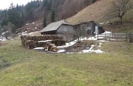 Casa de vanzare,  teren 4.890 mp, zona Moieciu de Sus