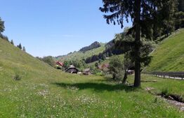 Casa de vanzare,  teren 4.890 mp, zona Moieciu de Sus