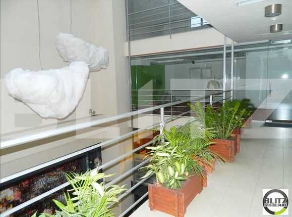 Spațiu birouri de închiriat Andrei Mureşanu - 20645SIB | BLITZ Cluj-Napoca | Poza6