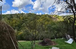 Casa 3 camere, 55 mp, teren 23.000 mp, zona pitoreasca-Poiana Marului