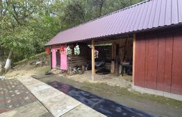 Casa 3 camere, 55 mp, teren 23.000 mp, zona pitoreasca-Poiana Marului