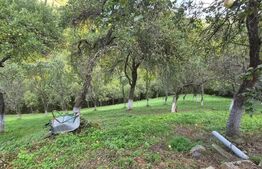 Casa 3 camere, 55 mp, teren 23.000 mp, zona pitoreasca-Poiana Marului