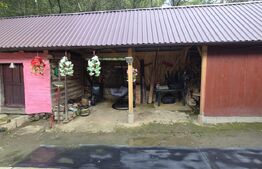 Casa 3 camere, 55 mp, teren 23.000 mp, zona pitoreasca-Poiana Marului