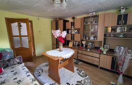 Casa 3 camere, 55 mp, teren 23.000 mp, zona pitoreasca-Poiana Marului