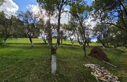 Casa 3 camere, 55 mp, teren 23.000 mp, zona pitoreasca-Poiana Marului