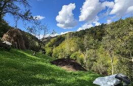 Casa 3 camere, 55 mp, teren 23.000 mp, zona pitoreasca-Poiana Marului