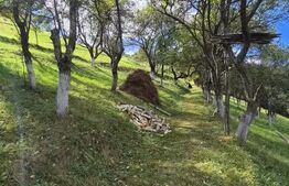 Casa 3 camere, 55 mp, teren 23.000 mp, zona pitoreasca-Poiana Marului
