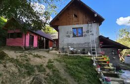 Casa 3 camere, 55 mp, teren 23.000 mp, zona pitoreasca-Poiana Marului