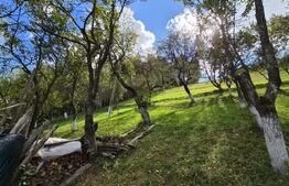 Casa 3 camere, 55 mp, teren 23.000 mp, zona pitoreasca-Poiana Marului