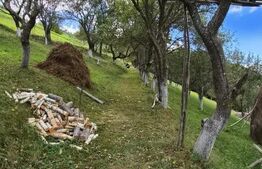 Casa 3 camere, 55 mp, teren 23.000 mp, zona pitoreasca-Poiana Marului