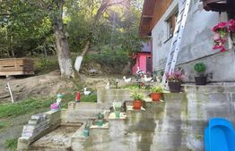 Casa 3 camere, 55 mp, teren 23.000 mp, zona pitoreasca-Poiana Marului