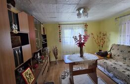 Casa 3 camere, 55 mp, teren 23.000 mp, zona pitoreasca-Poiana Marului
