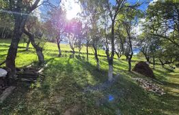 Casa 3 camere, 55 mp, teren 23.000 mp, zona pitoreasca-Poiana Marului