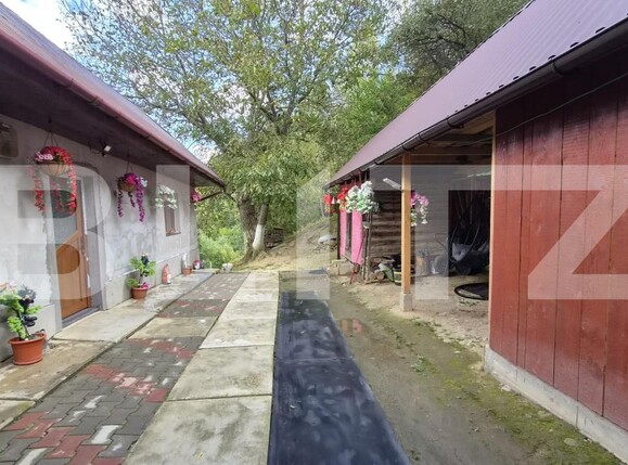 Casa de vânzare 3 camere Poiana Marului - 206473CV | BLITZ Brașov | Poza23