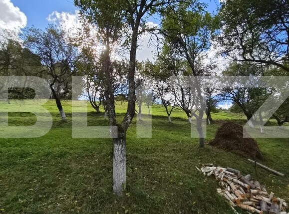 Casa de vânzare 3 camere Poiana Marului - 206473CV | BLITZ Brașov | Poza16