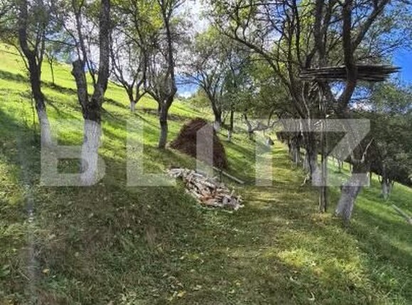 Casa de vânzare 3 camere Poiana Marului - 206473CV | BLITZ Brașov | Poza10