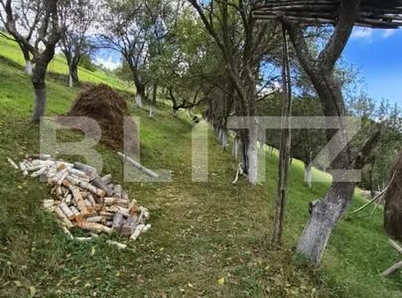 Casa de vânzare 3 camere Poiana Marului - 206473CV | BLITZ Brașov | Poza12